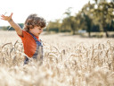 jongetje in het korenveld