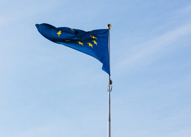 Euopeese vlag op stok wappert in de wind