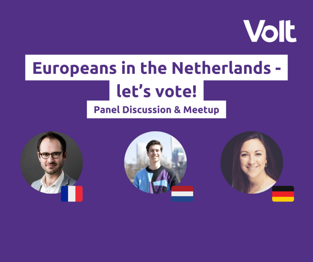 Europeans in the Netherlands - let's vote!. Panel Discussion Meetup