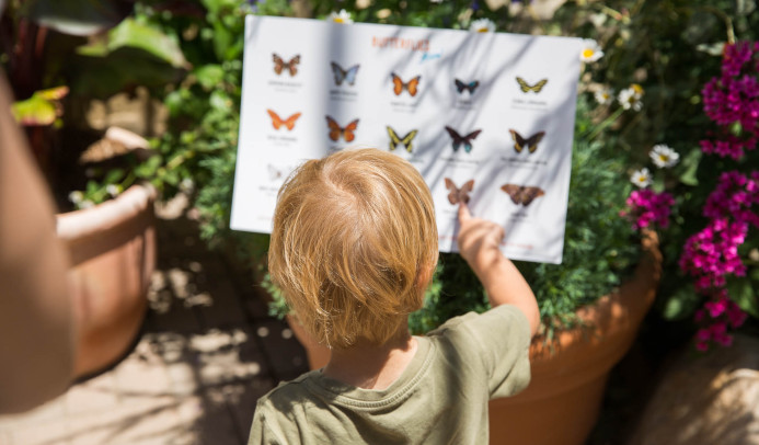 Een kind wat wijst naar een informatie bord over vlinders