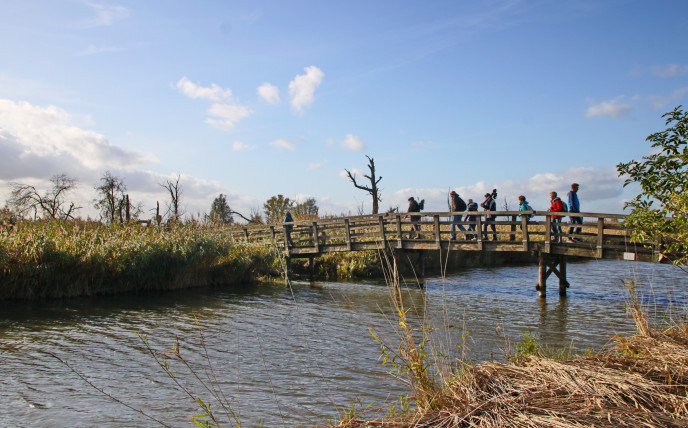 Landschap Lelystad