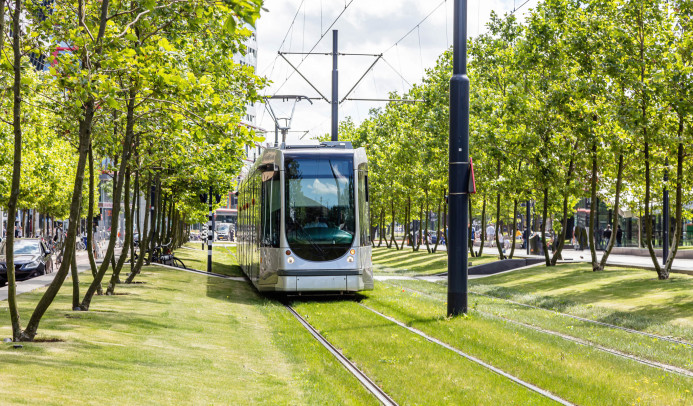 Een tram die rijdt door een groene omgeving in een stad
