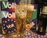 Volt bier