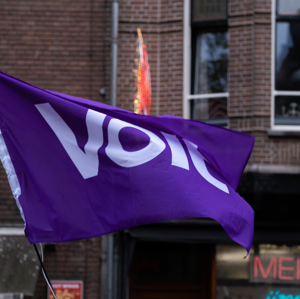 Volt vlag