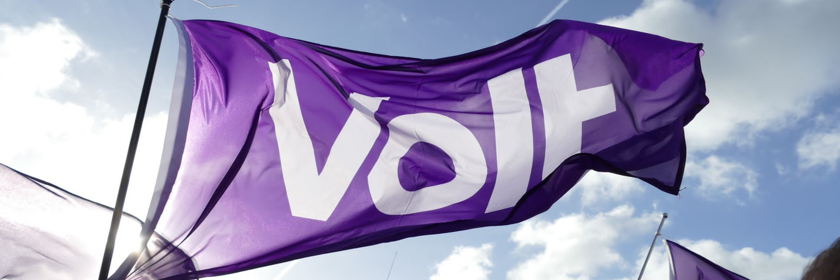 Volt vlag met de lucht als achtergrond