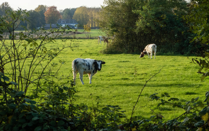 AchterhoeksLandschap