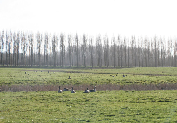 Recreatiegebied Kardinge