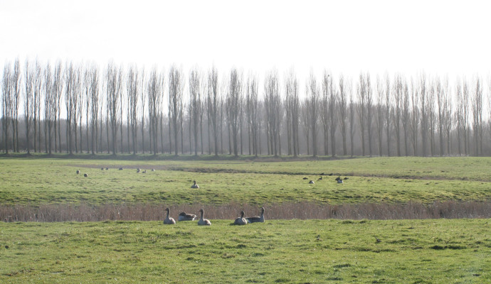Recreatiegebied Kardinge