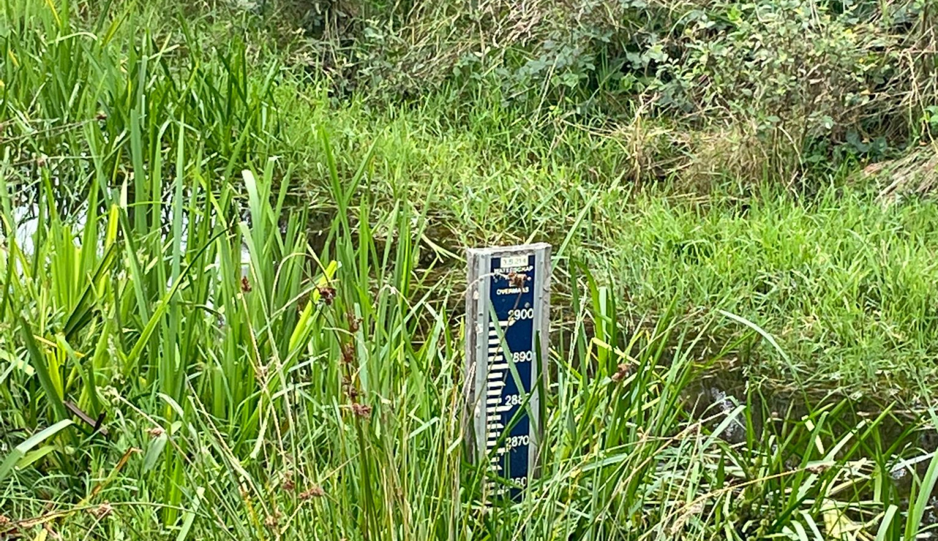 Meter waterstand in beekje