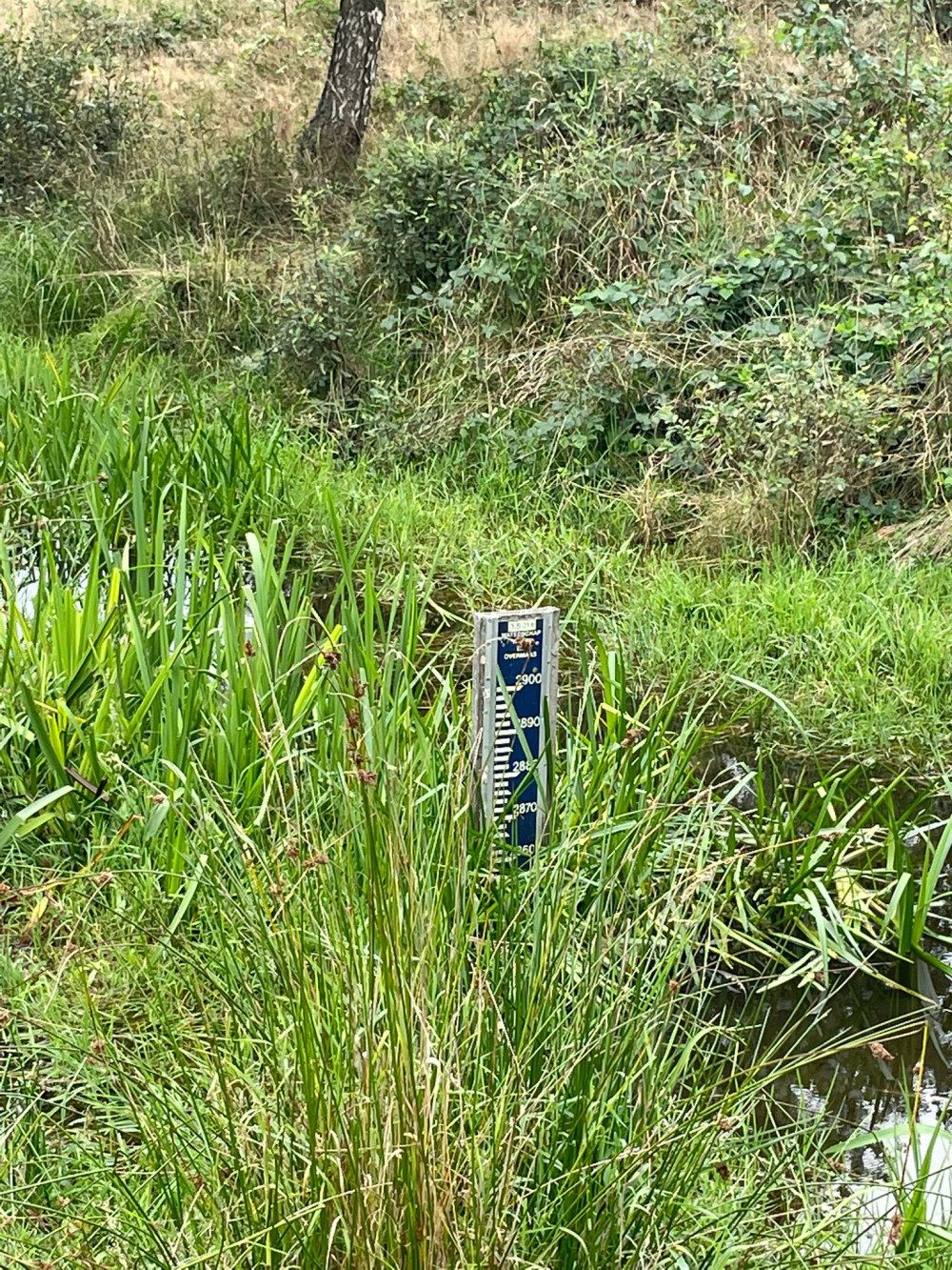 Meter waterstand in beekje