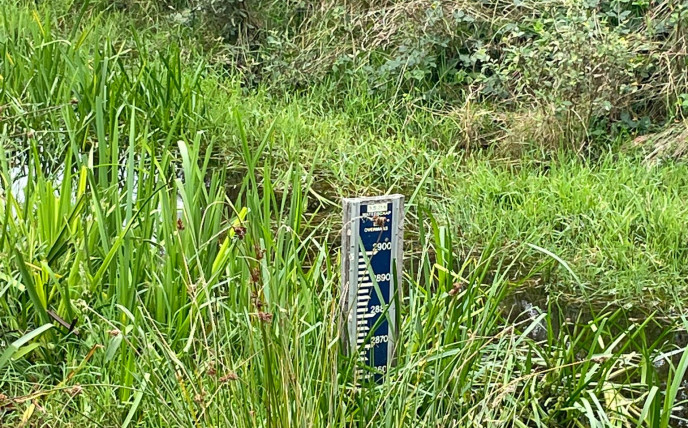 Meter waterstand in beekje
