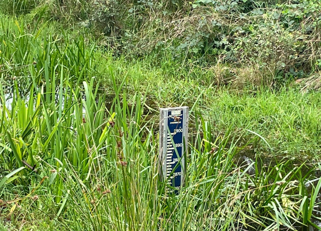 Meter waterstand in beekje