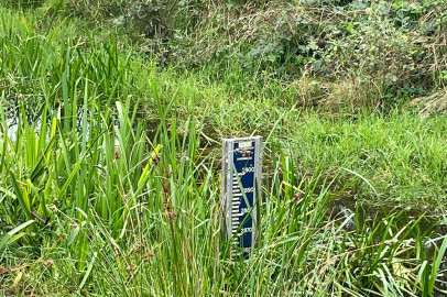 Meter waterstand in beekje