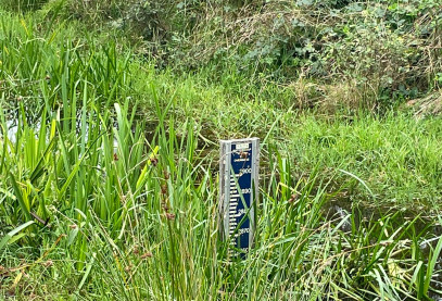 Meter waterstand in beekje