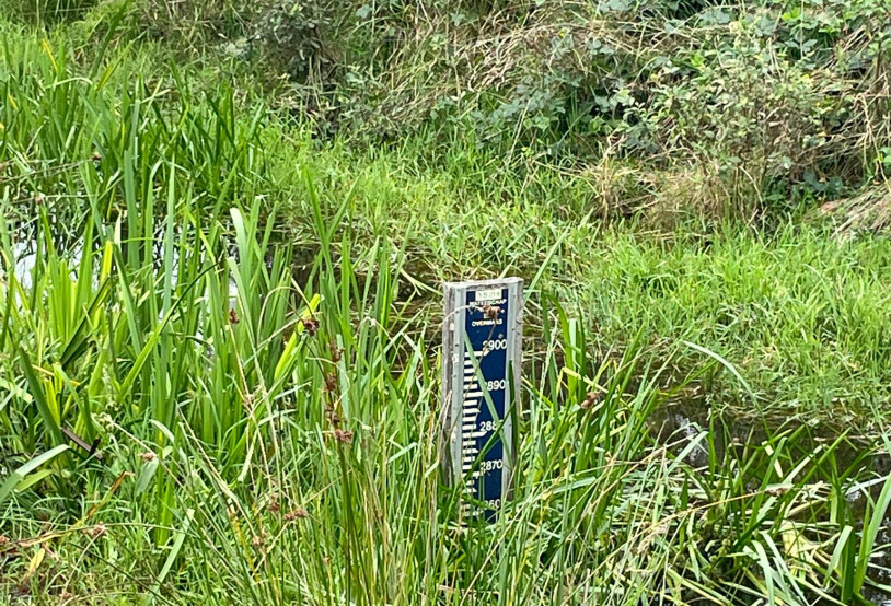 Meter waterstand in beekje